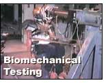 Biomechanical Testing